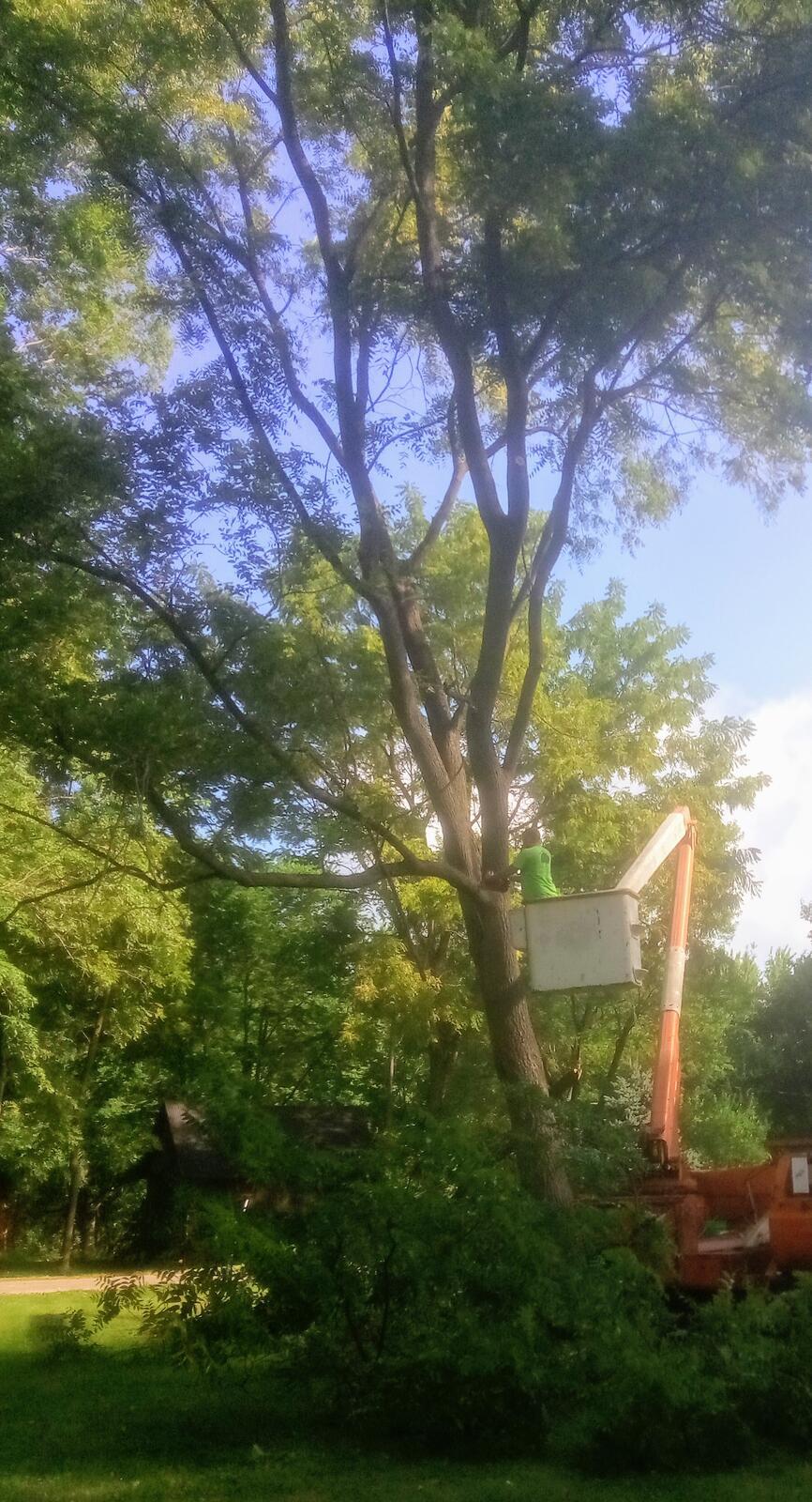 Photo credit: nextdoor