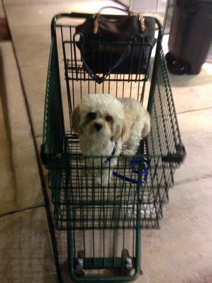 Photo credit: nextdoor