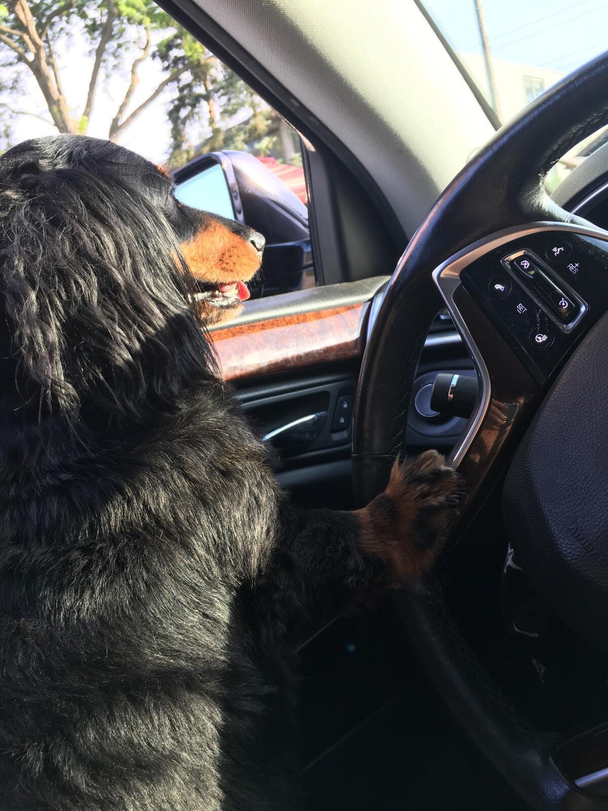 Photo credit: nextdoor