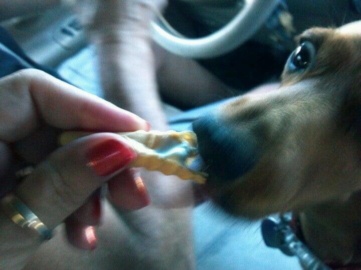 Photo credit: nextdoor