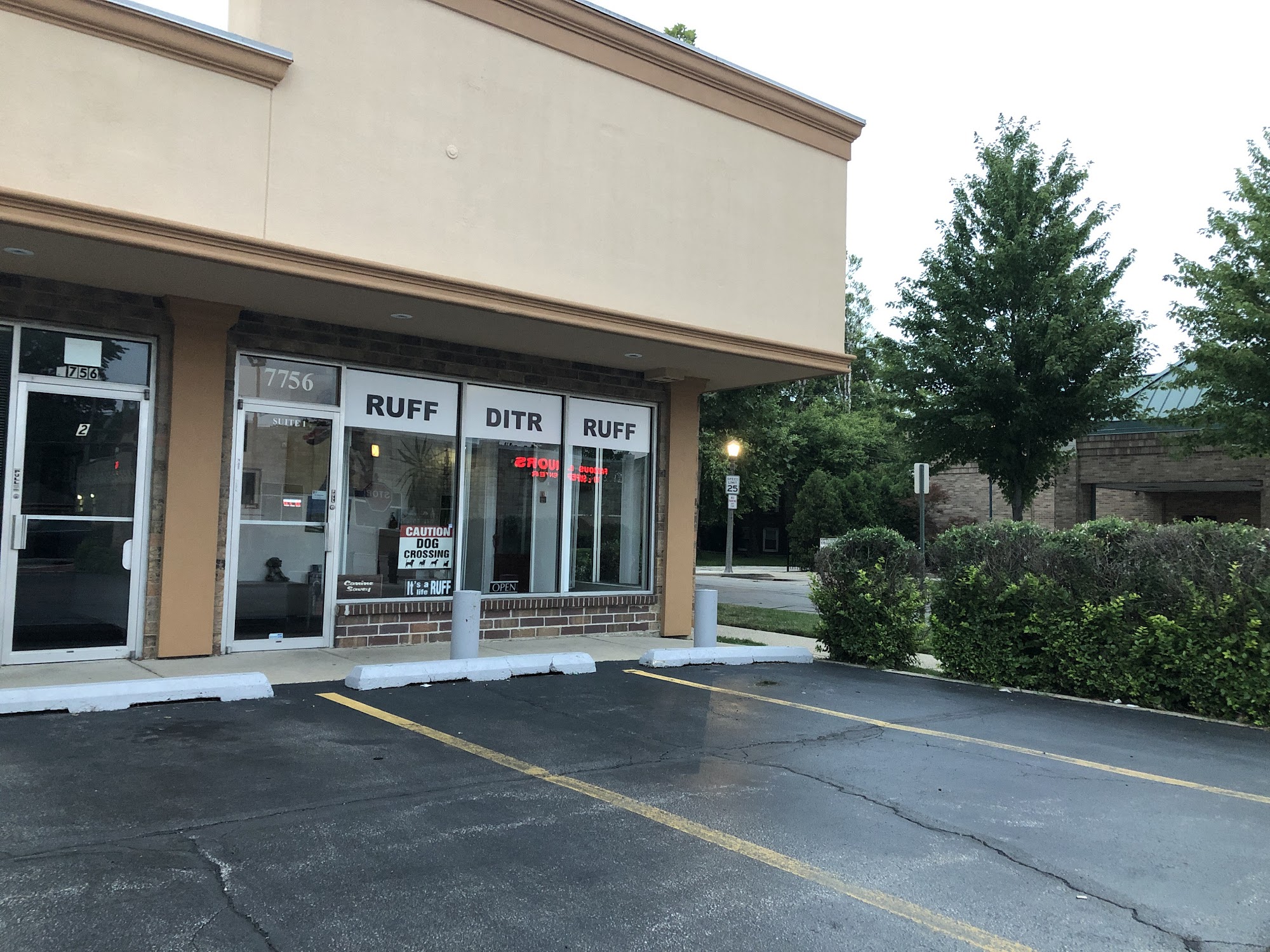 Diamond In the Ruff River Forest