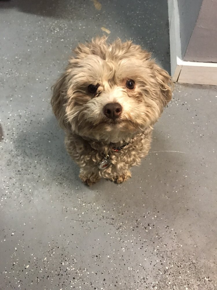 Photo credit: 