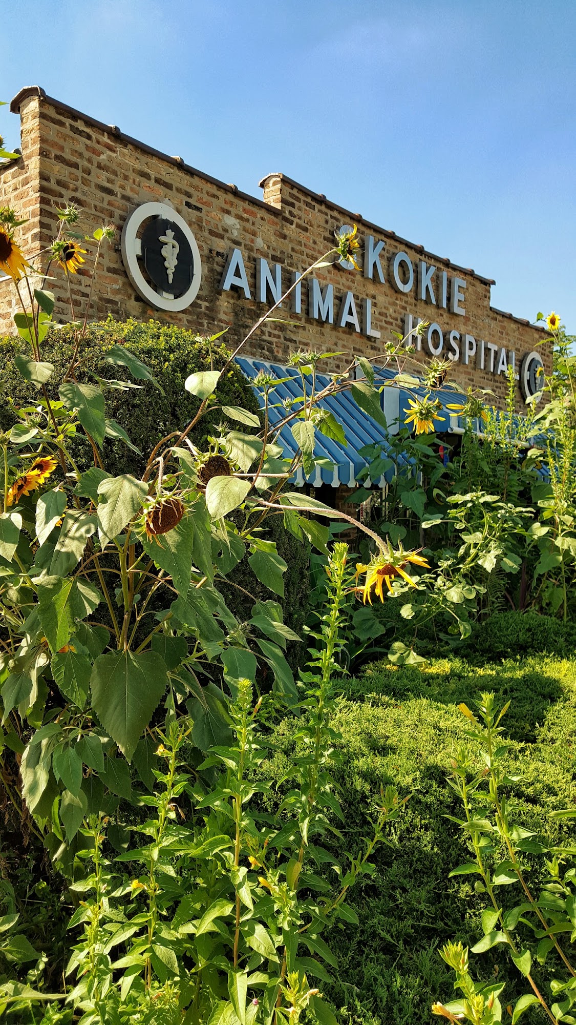 Skokie Animal Hospital