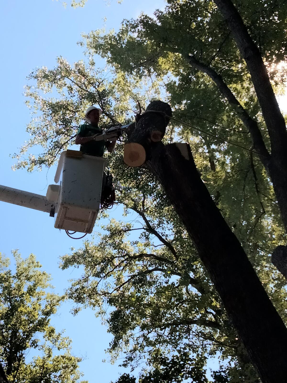 Photo credit: nextdoor