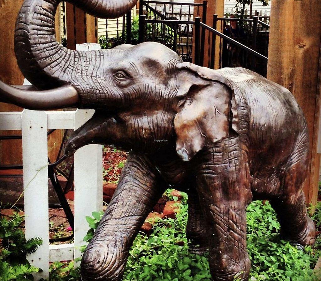 Photo credit: happycow