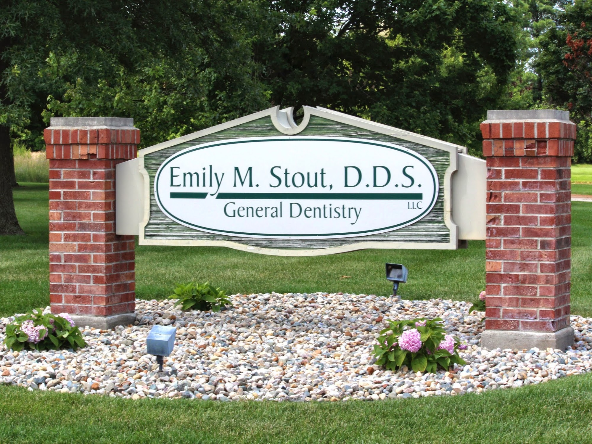 Emily Stout DDS