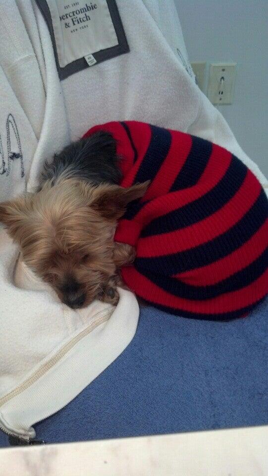 Photo credit: nextdoor