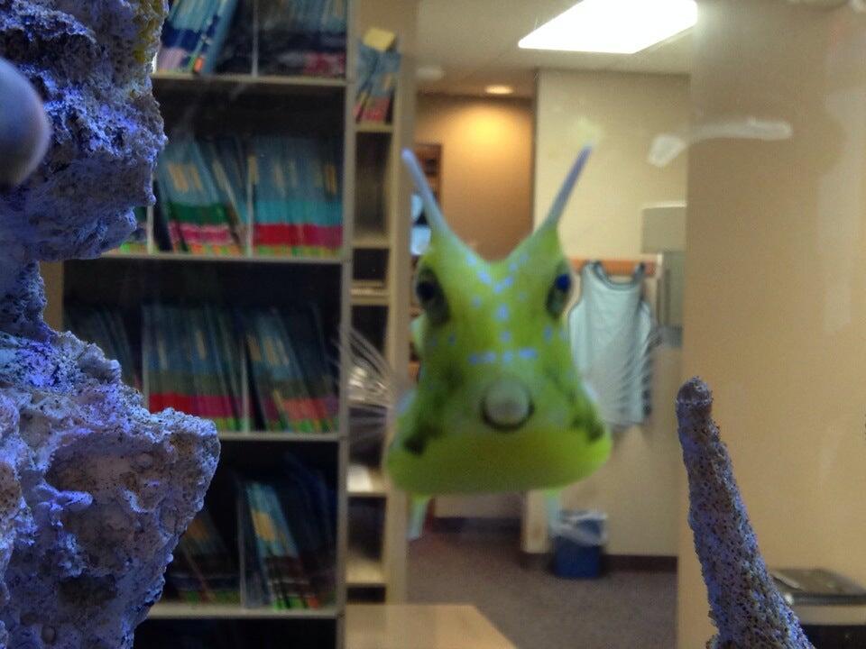 Photo credit: nextdoor