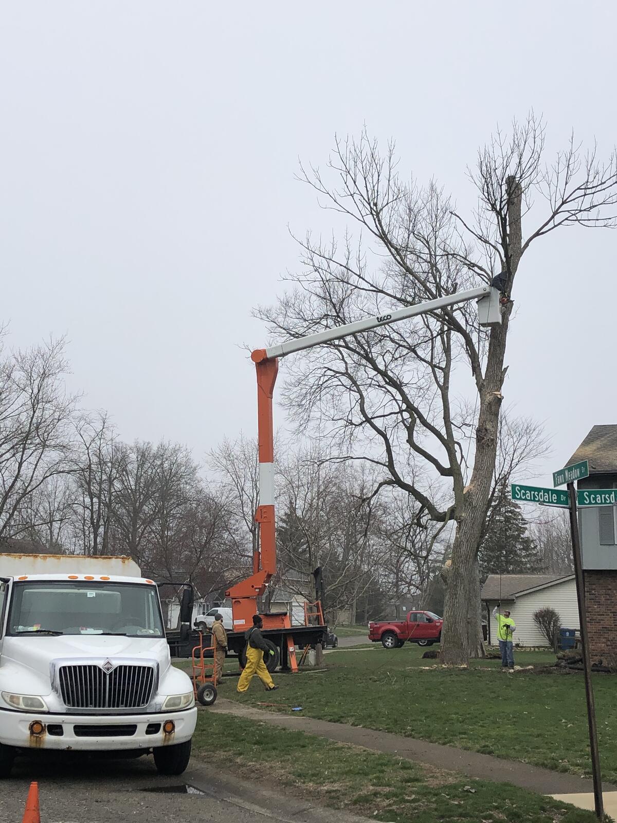 Photo credit: nextdoor