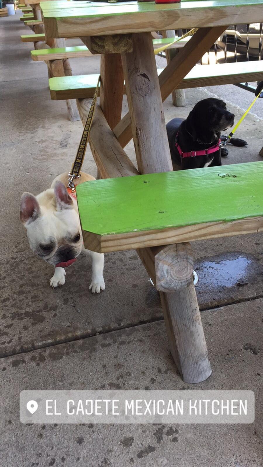 Photo credit: nextdoor