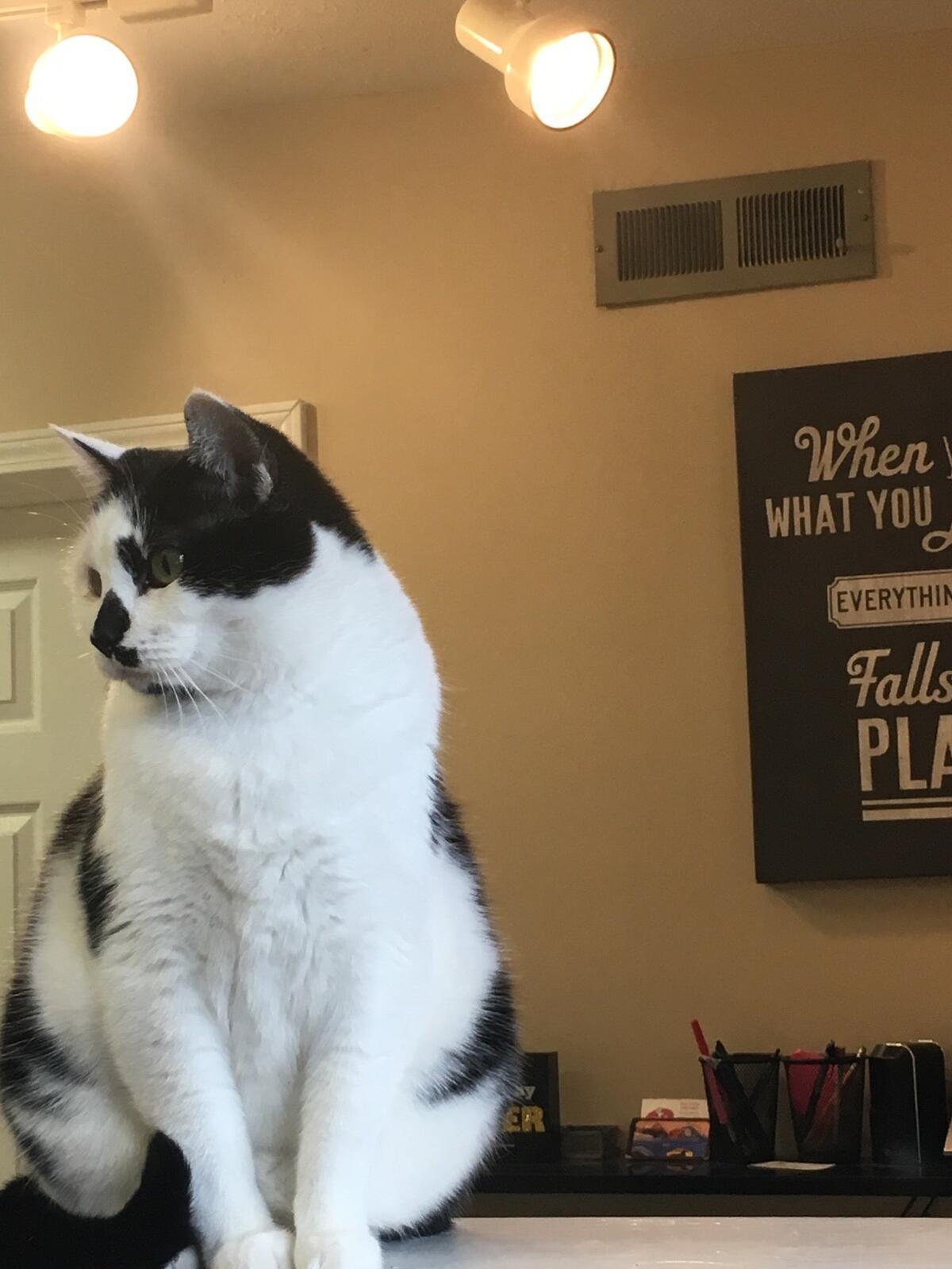 Photo credit: nextdoor