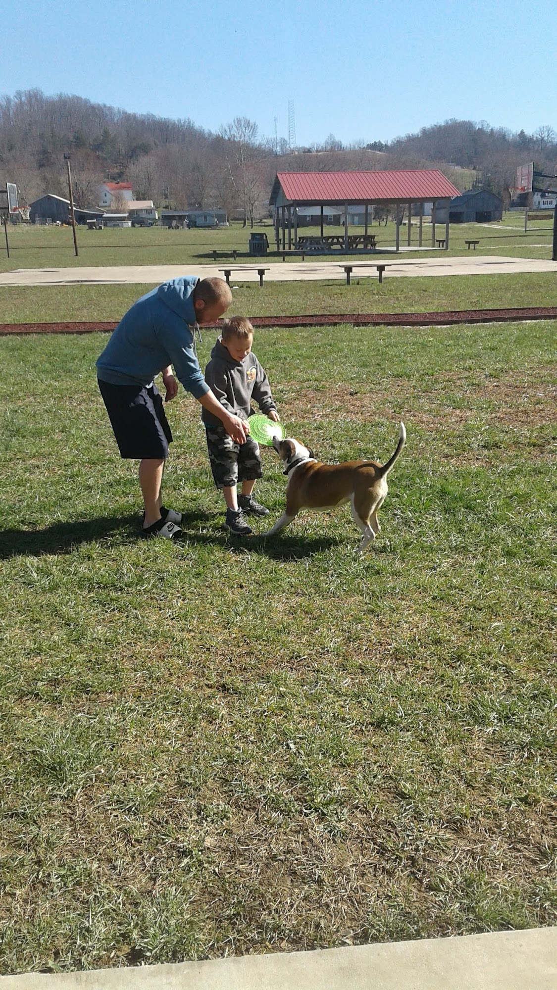 Wolfe county Animal Shelter 202 Pet Lane, Hazel Green