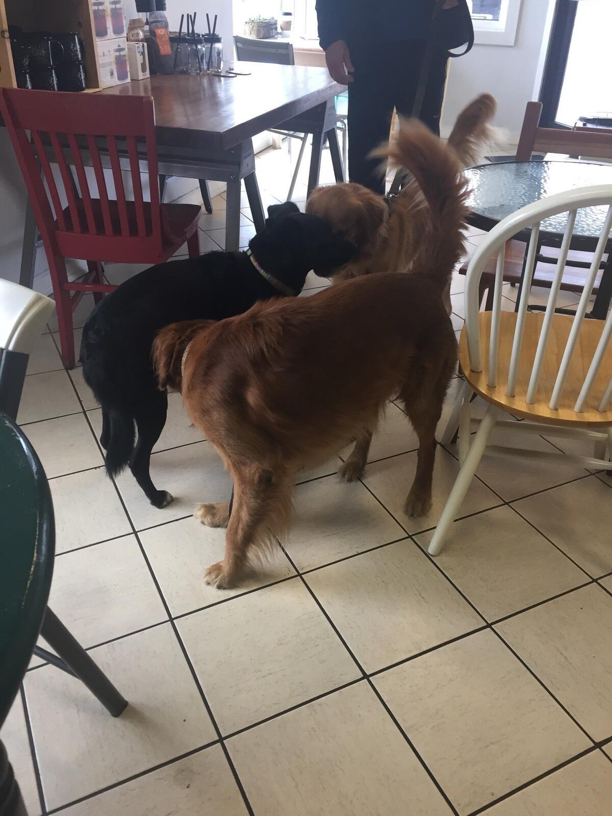 Photo credit: nextdoor