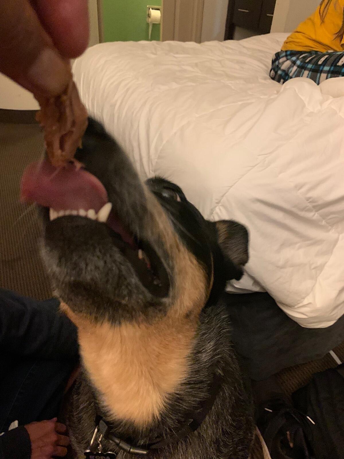 Photo credit: nextdoor