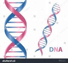 AccuGen DNA Testing