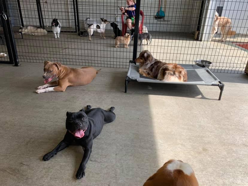 Photo credit: nextdoor