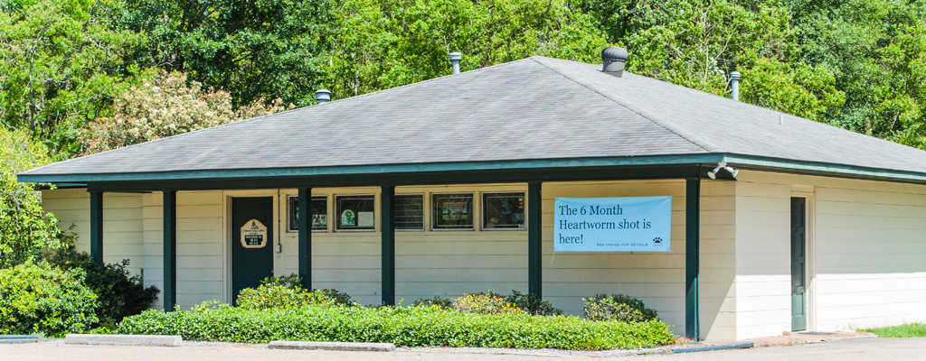 Companion Animal Hospital