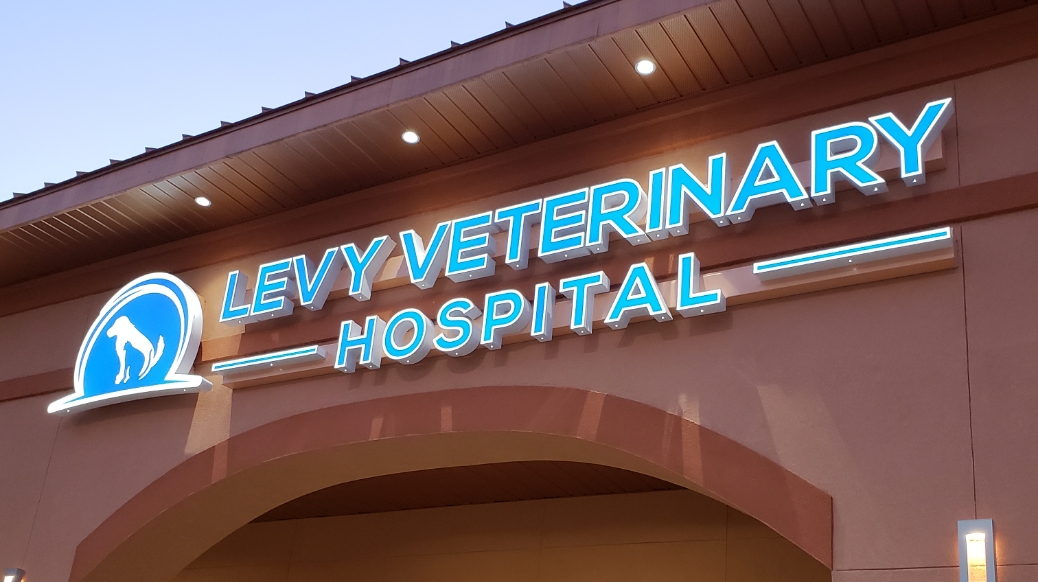Levy Veterinary Hospital