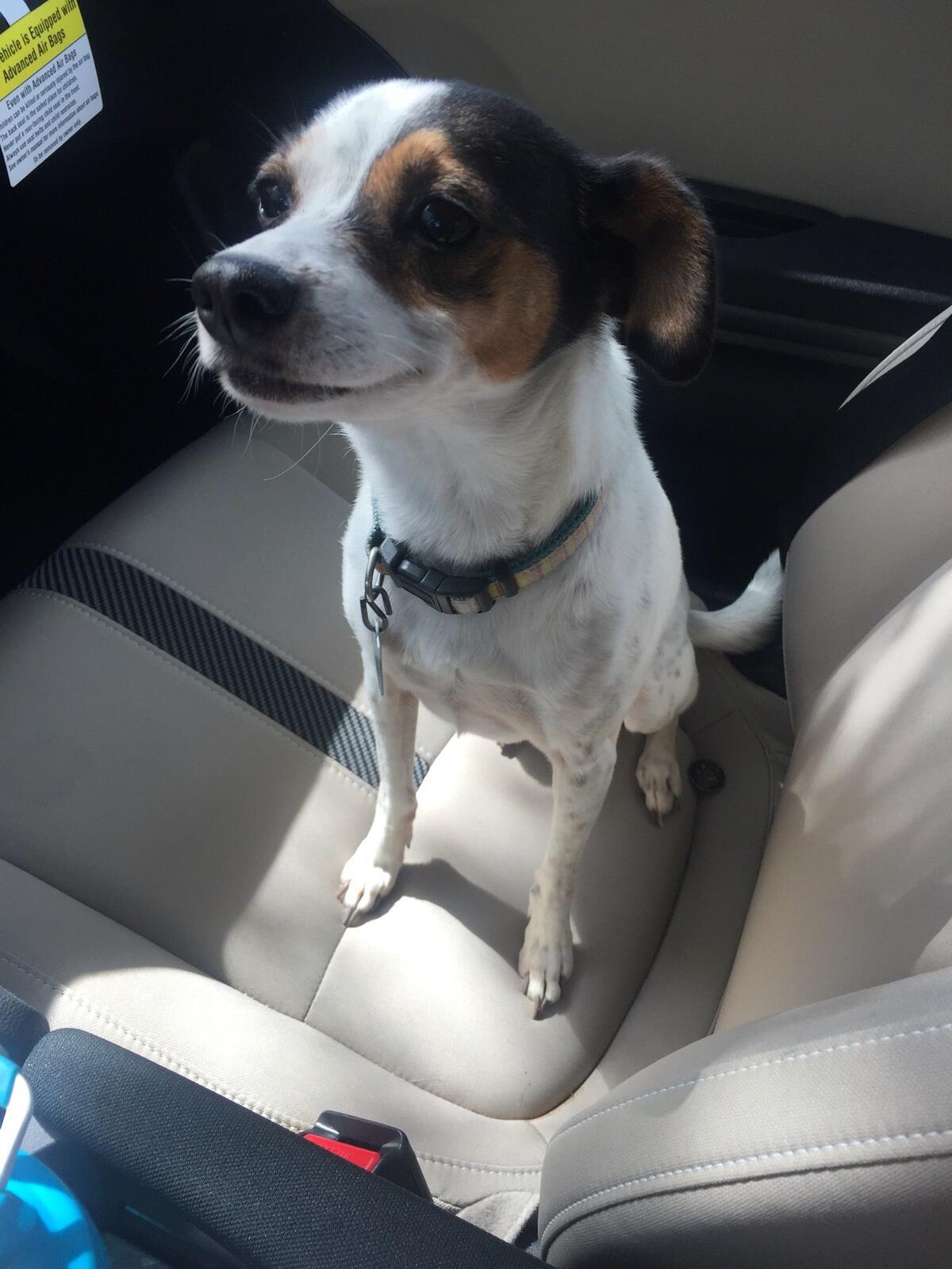 Photo credit: nextdoor