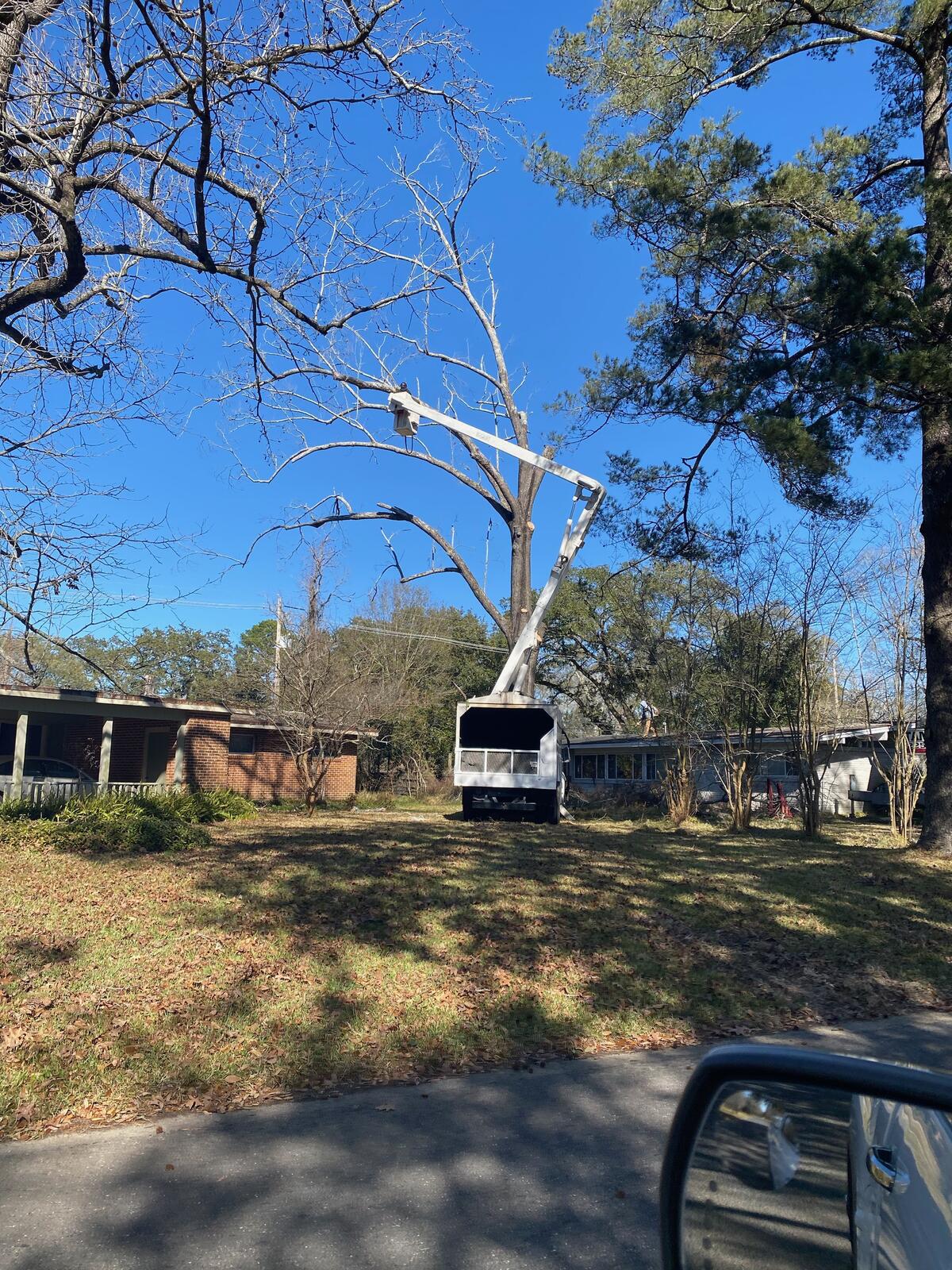Photo credit: nextdoor