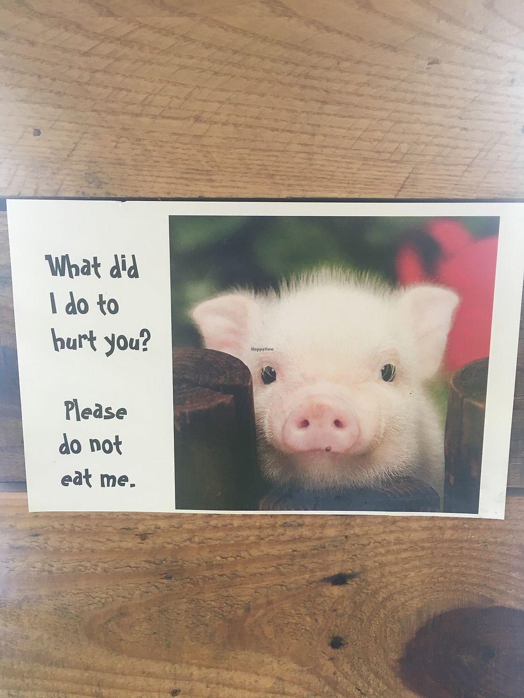 Photo credit: happycow