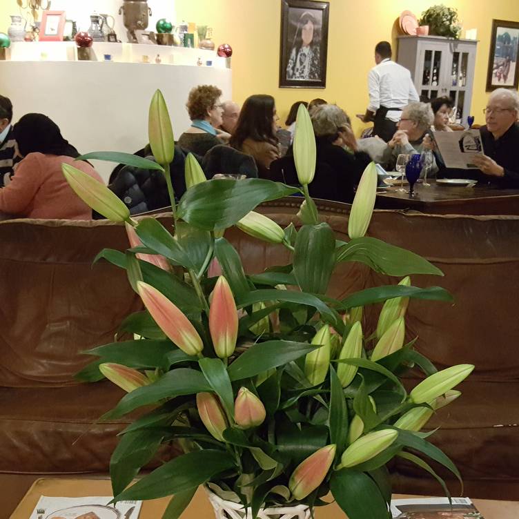 Photo credit: opentable