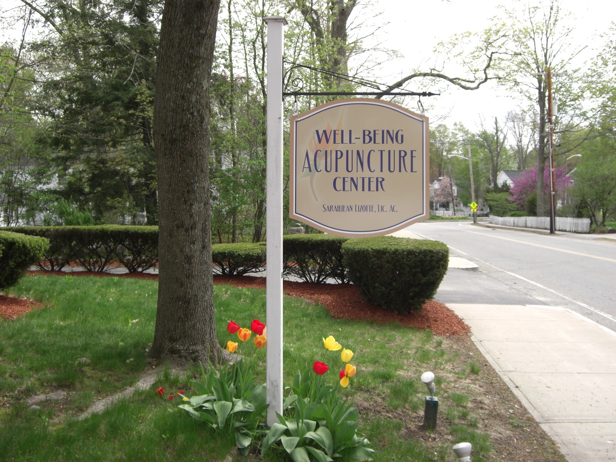 Well-Being Acupuncture Center