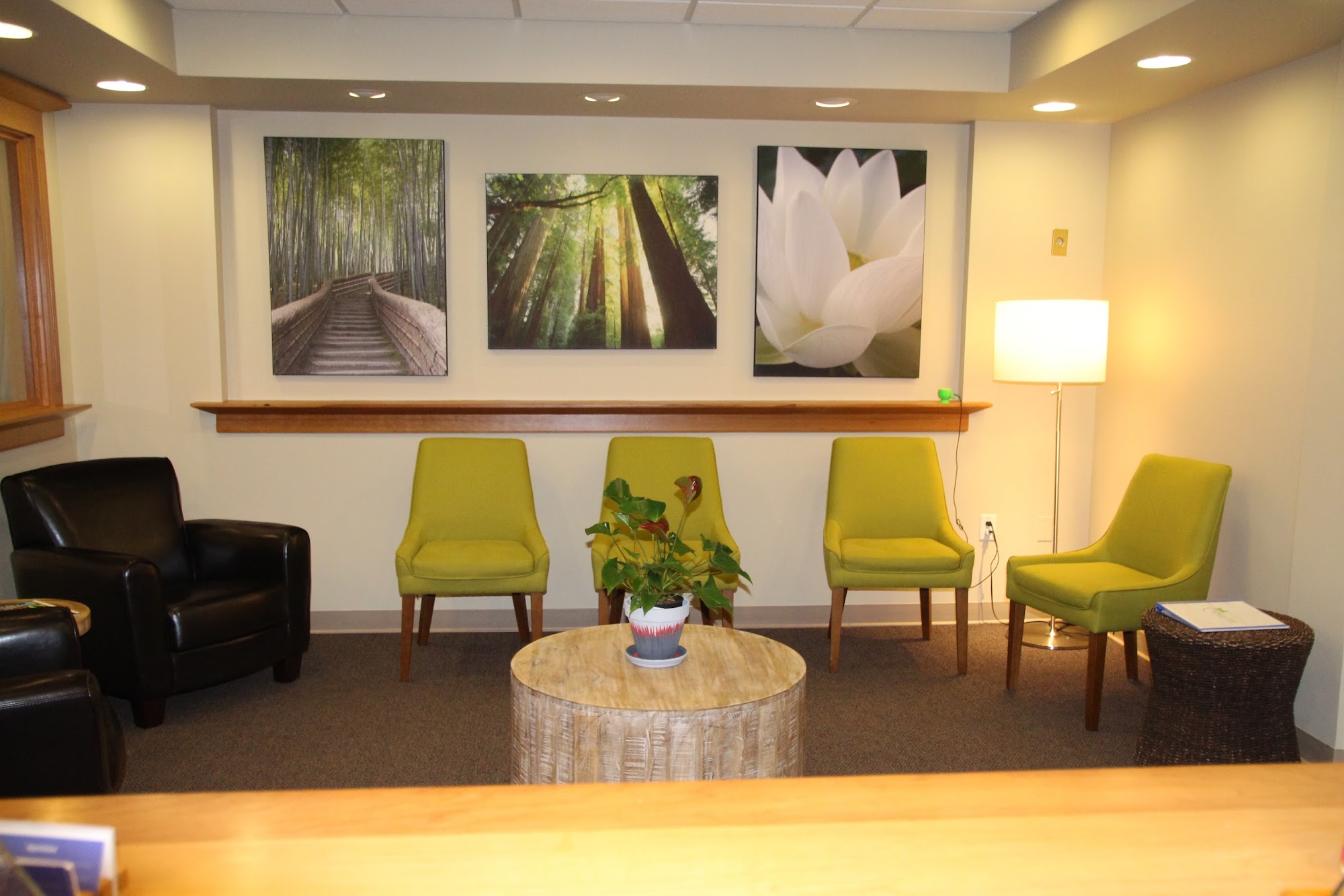 Lyme and PANS Treatment Center