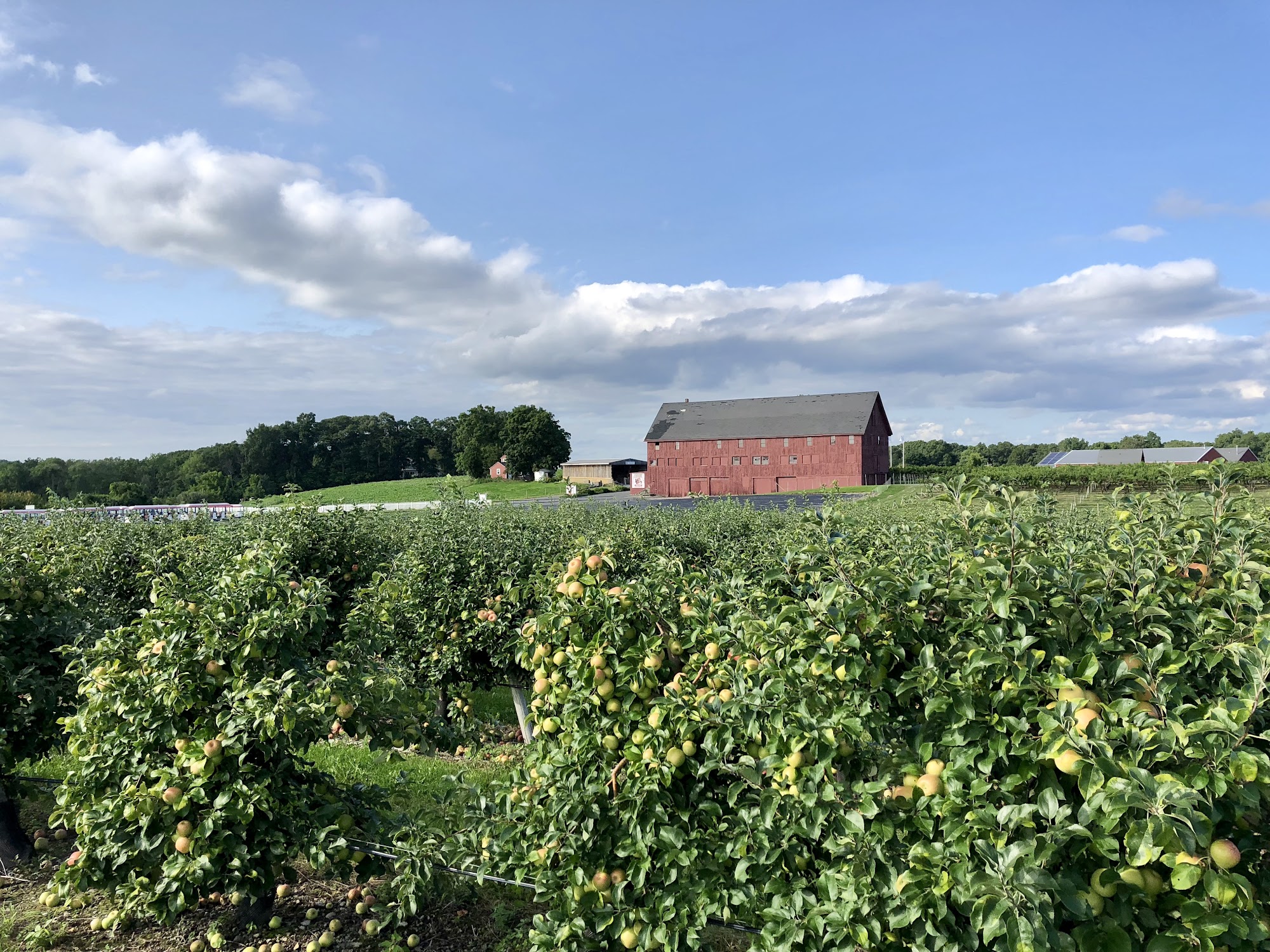 Belkin Family Lookout Farm Dining, Market, & Fruit U-Pick