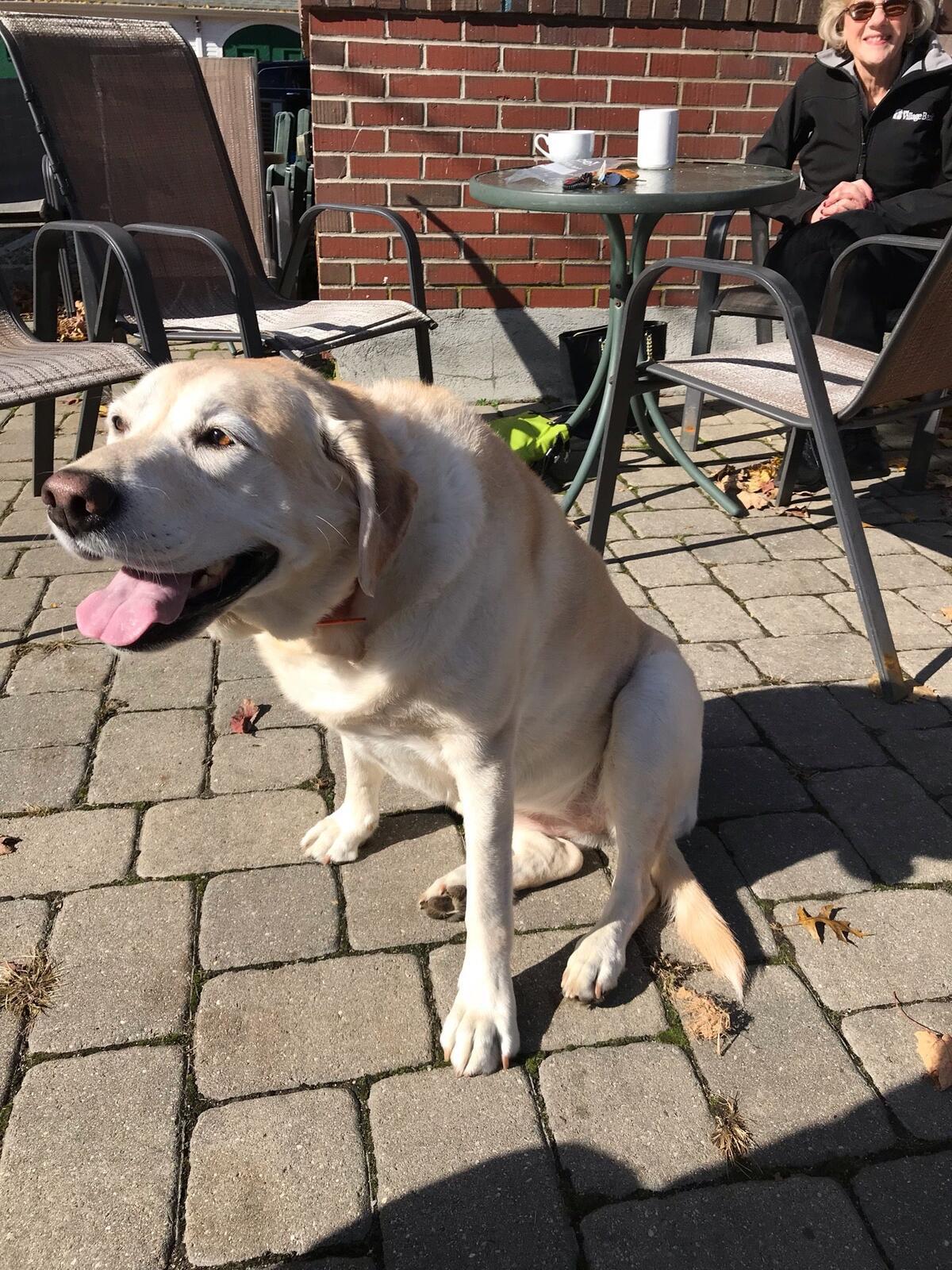 Photo credit: nextdoor