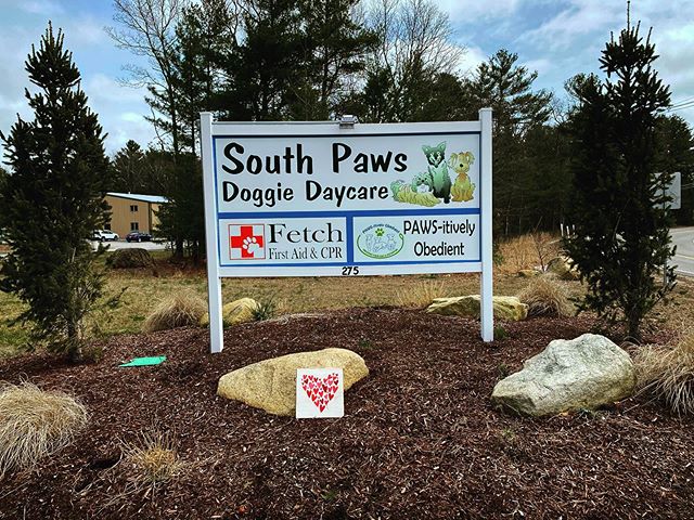 South Paws Doggie Daycare