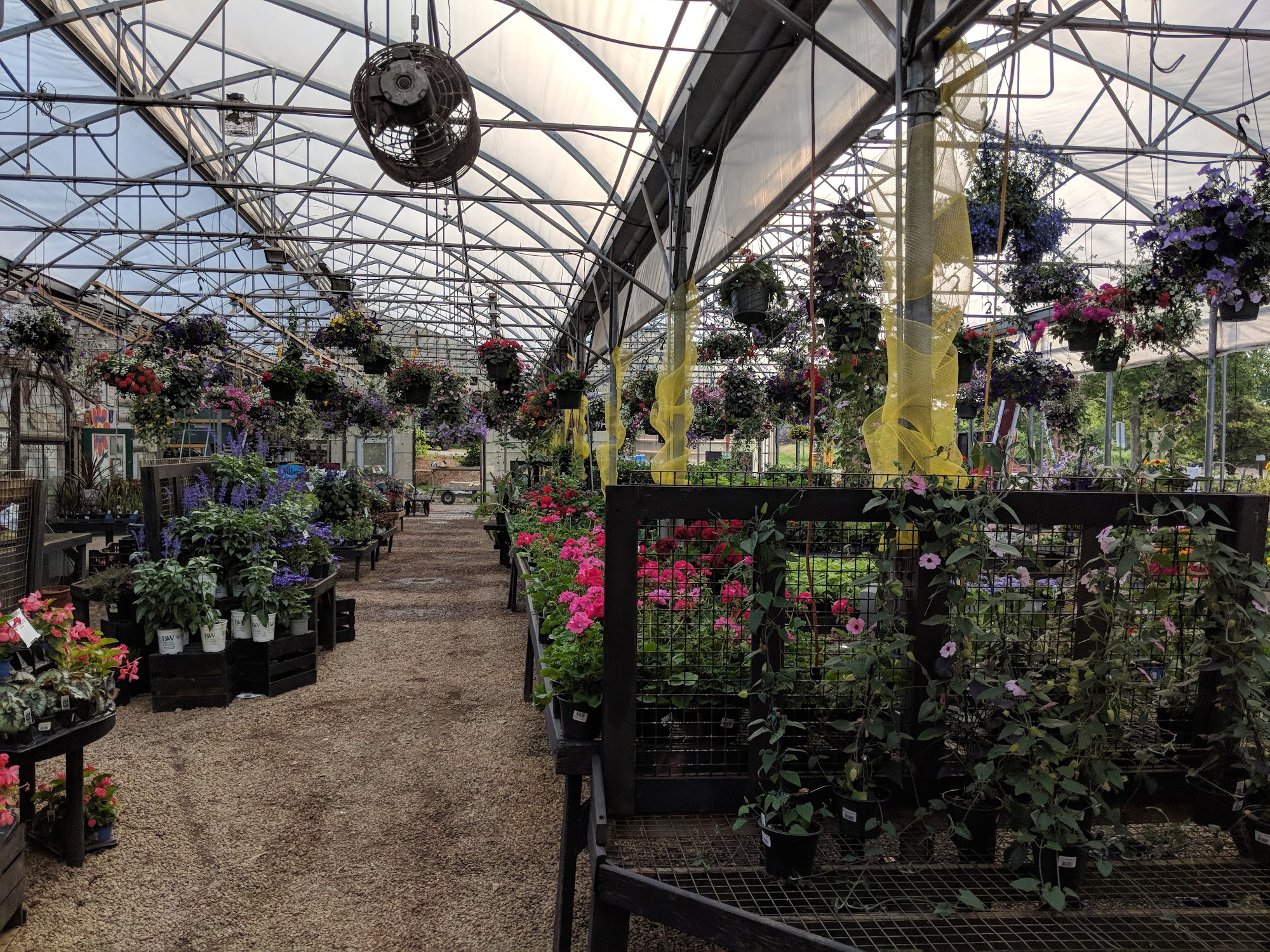 Bemis Farms Nursery