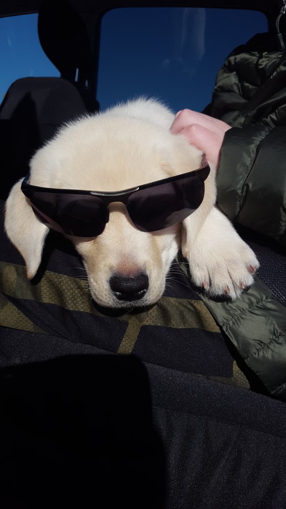 Photo credit: 