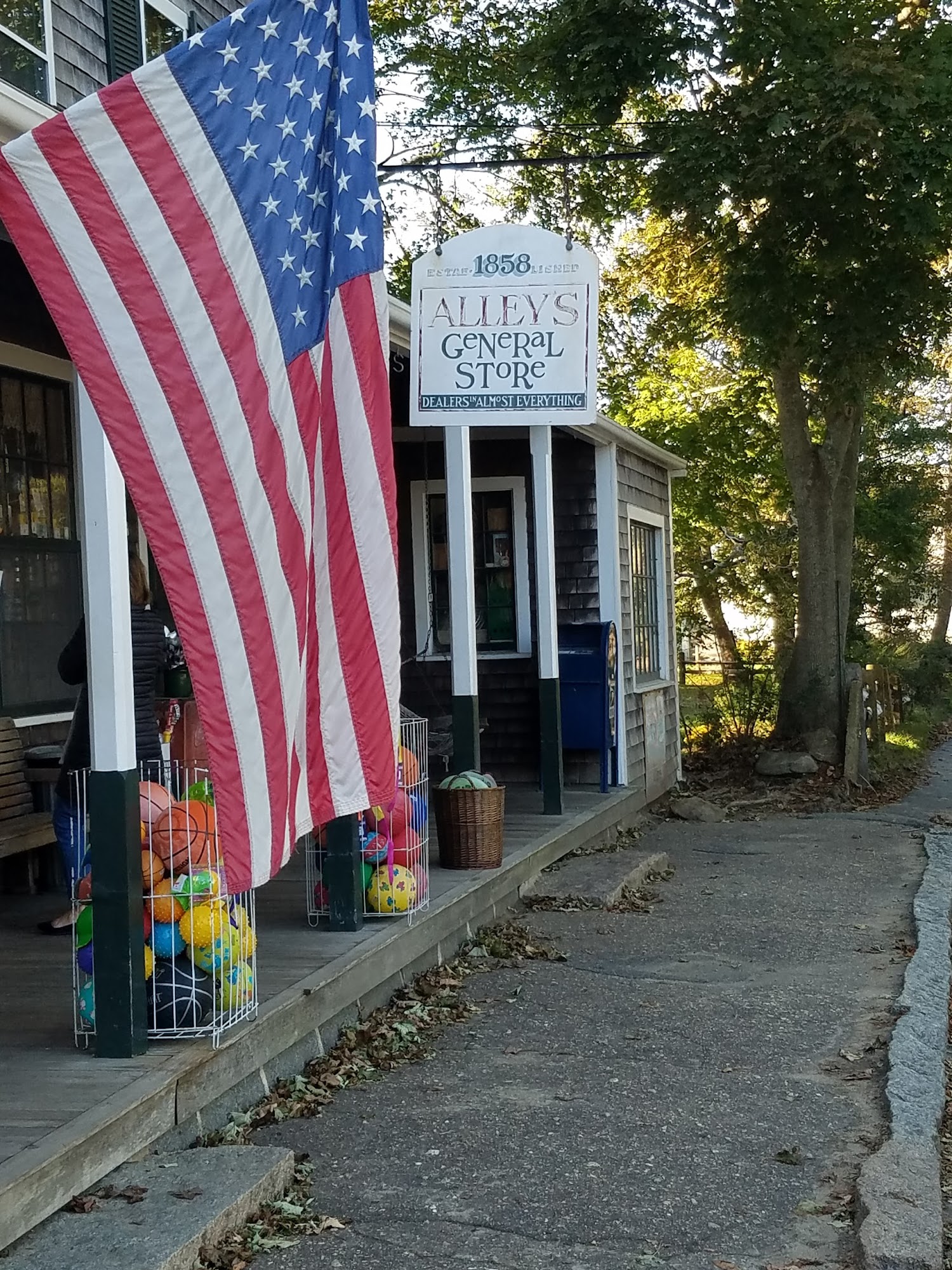 Alley's General Store