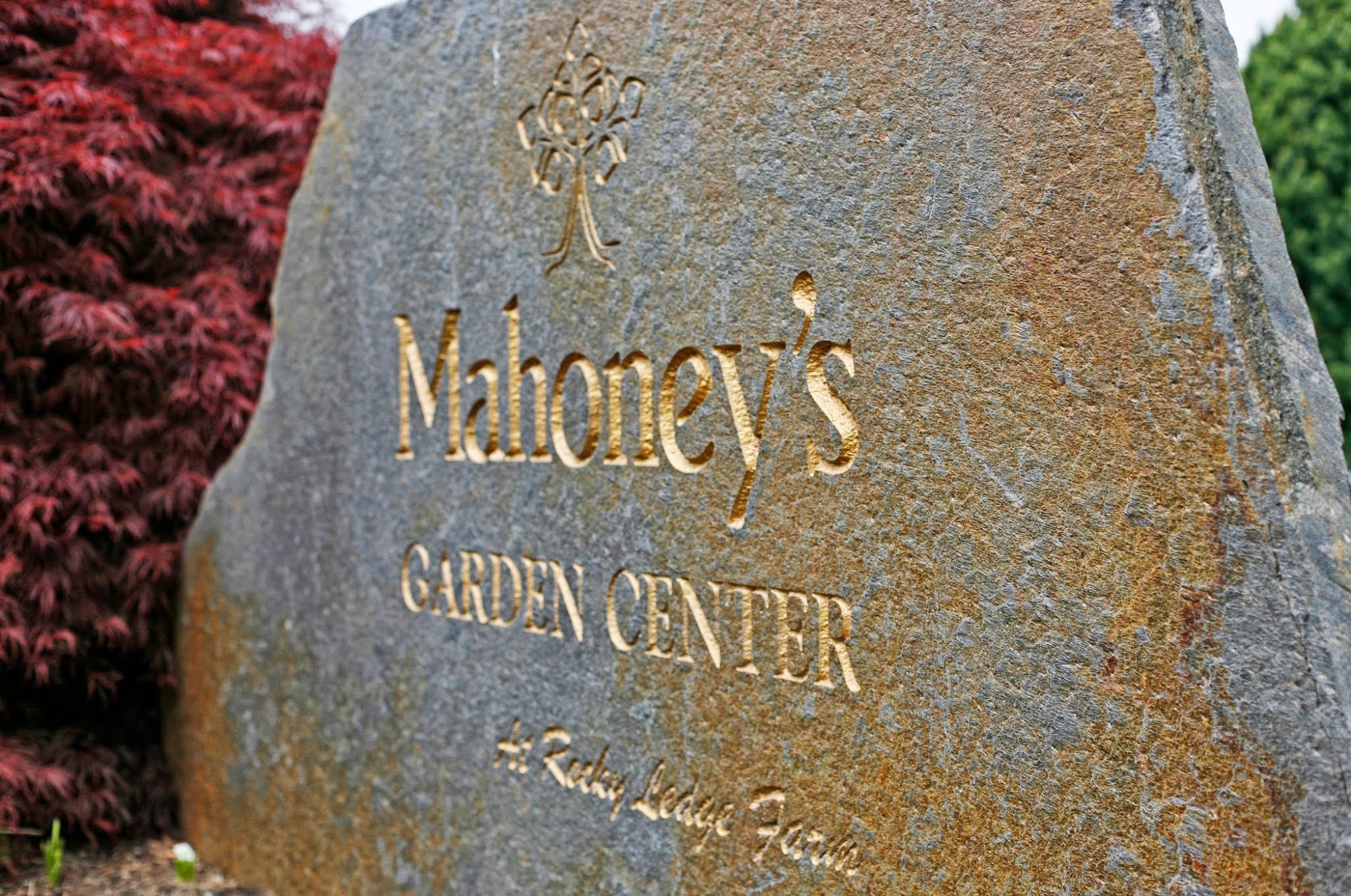 Mahoney's Garden Center