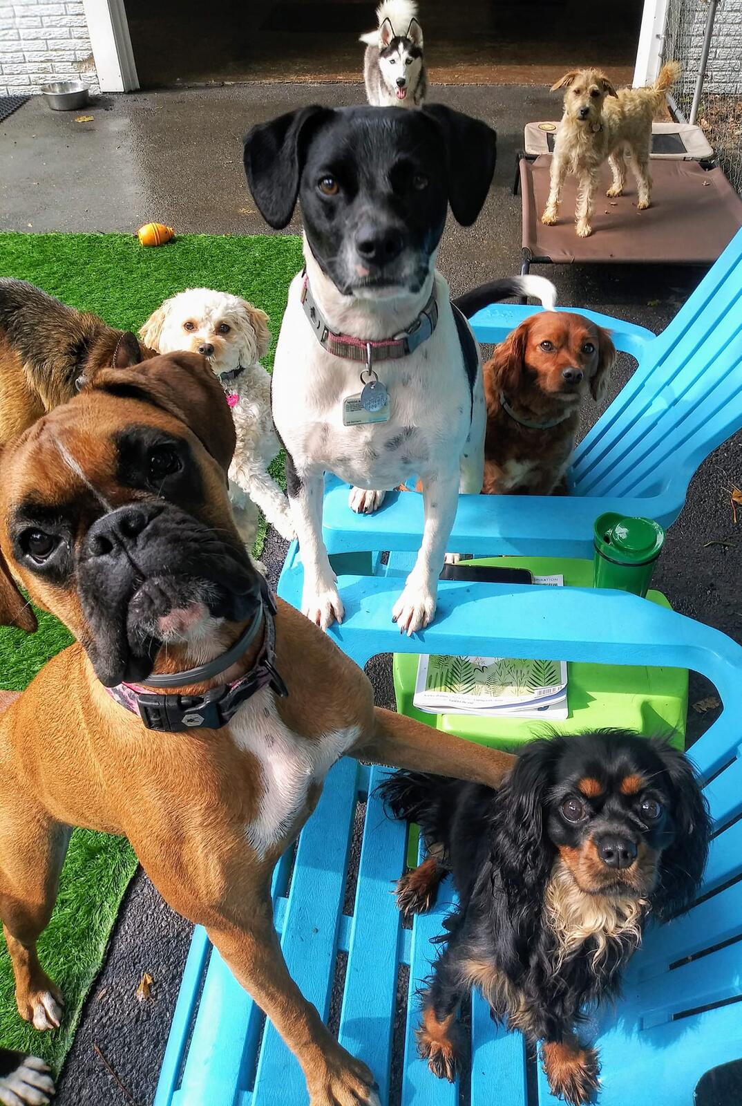 Photo credit: nextdoor