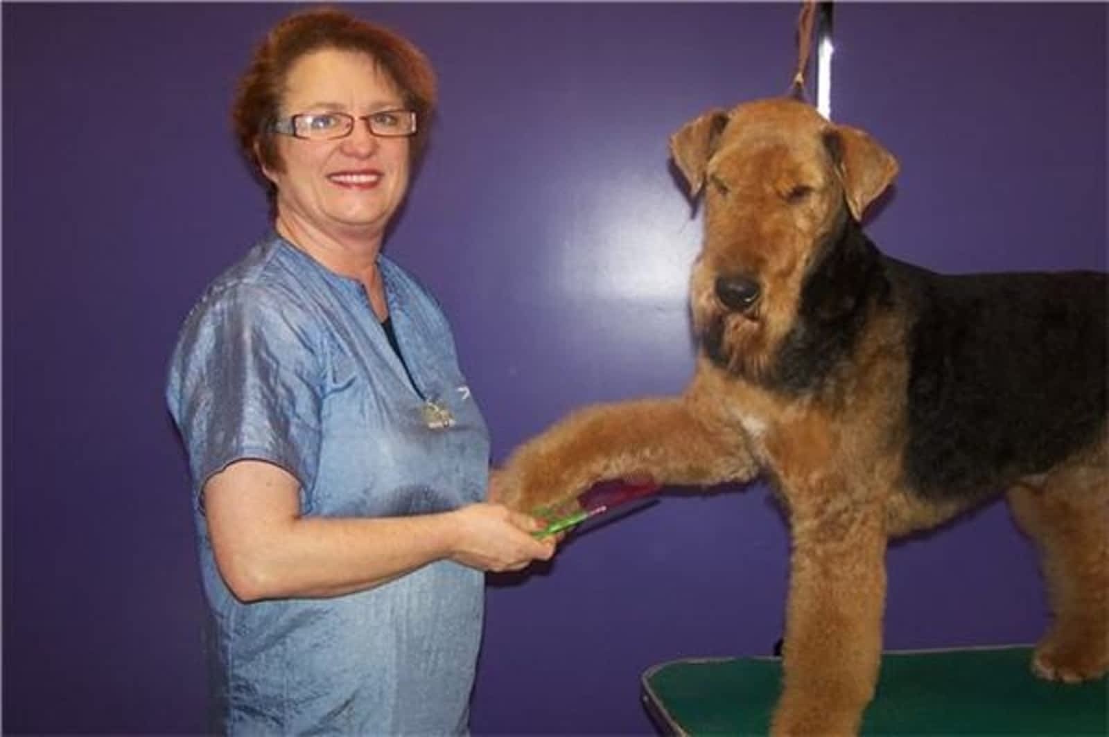 Photo credit: yellowpages.ca