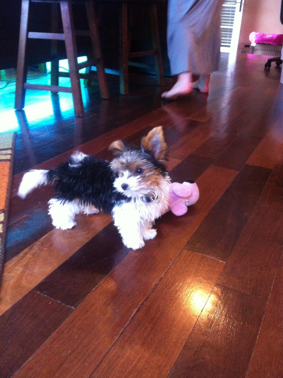 Photo credit: nextdoor