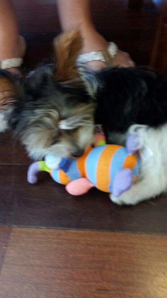 Photo credit: nextdoor