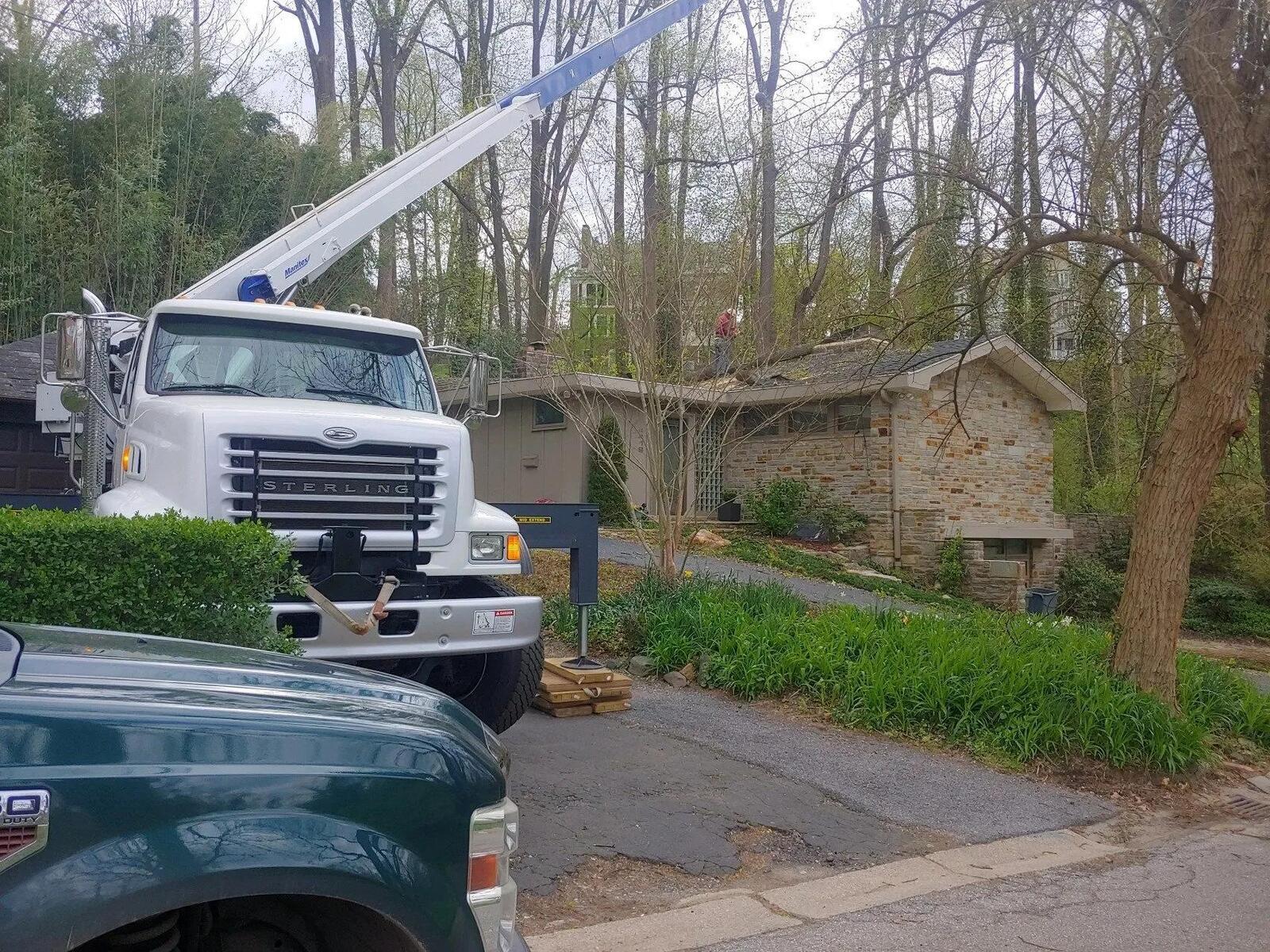 Photo credit: nextdoor