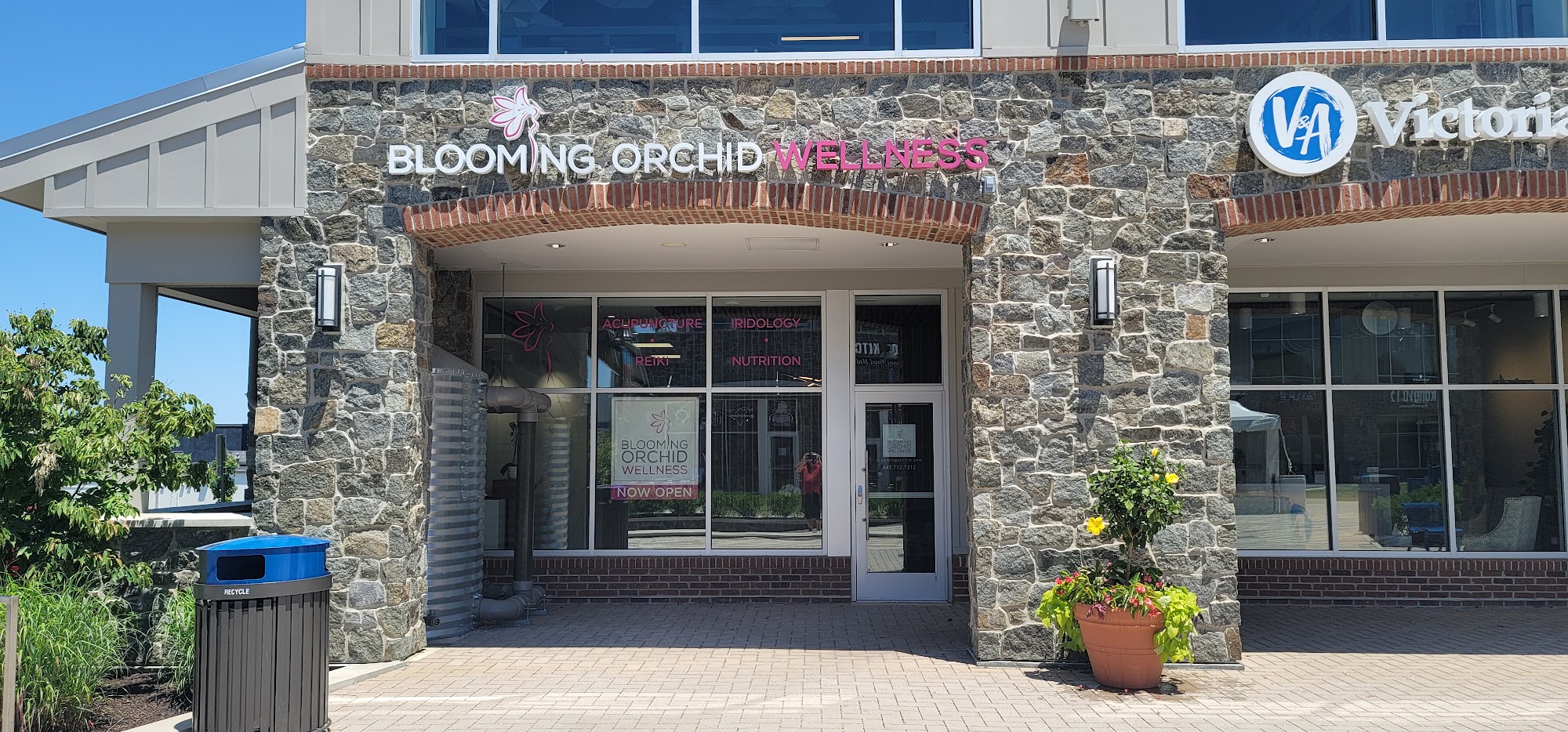 Blooming Orchid Wellness