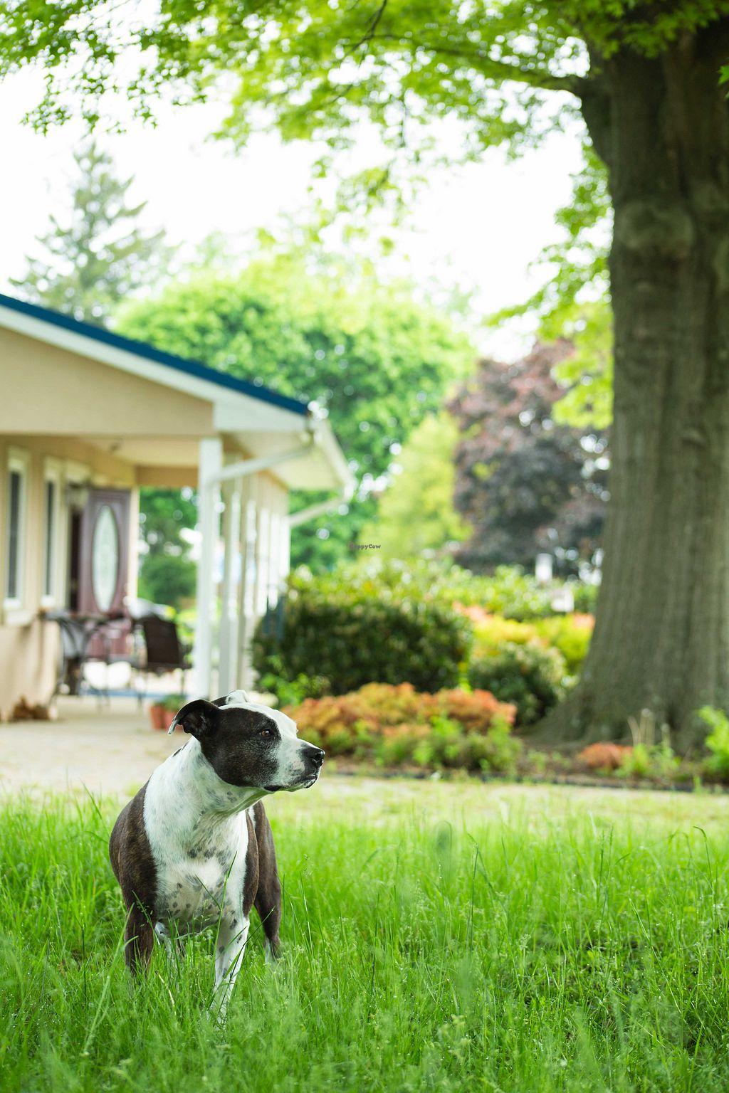 Photo credit: happycow