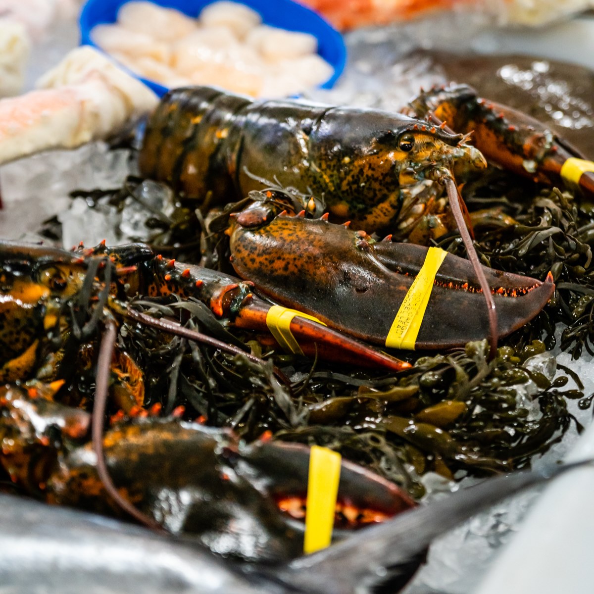 The 15 Best Restaurants In Jessup Md - Nov 2021 Selection By Restaurantji