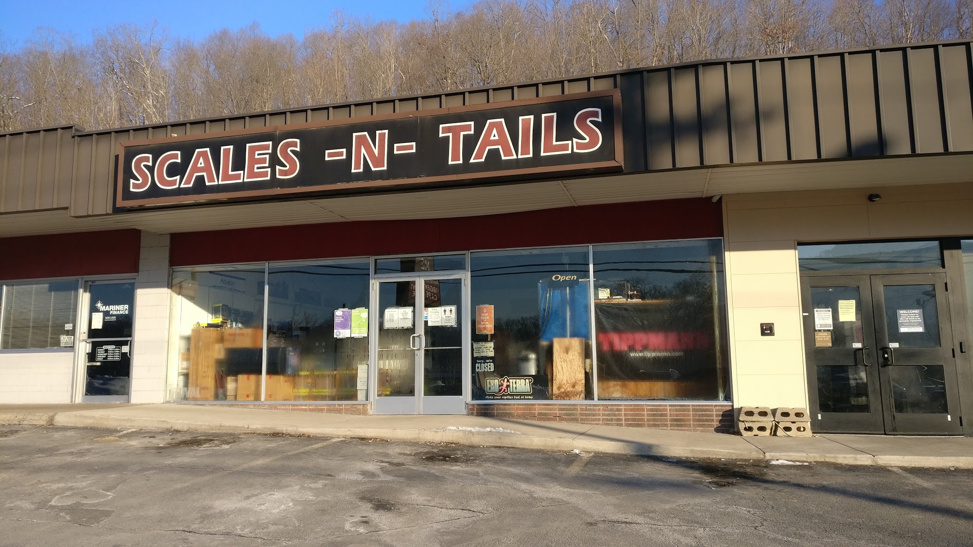 Scales-N-Tails,LLC