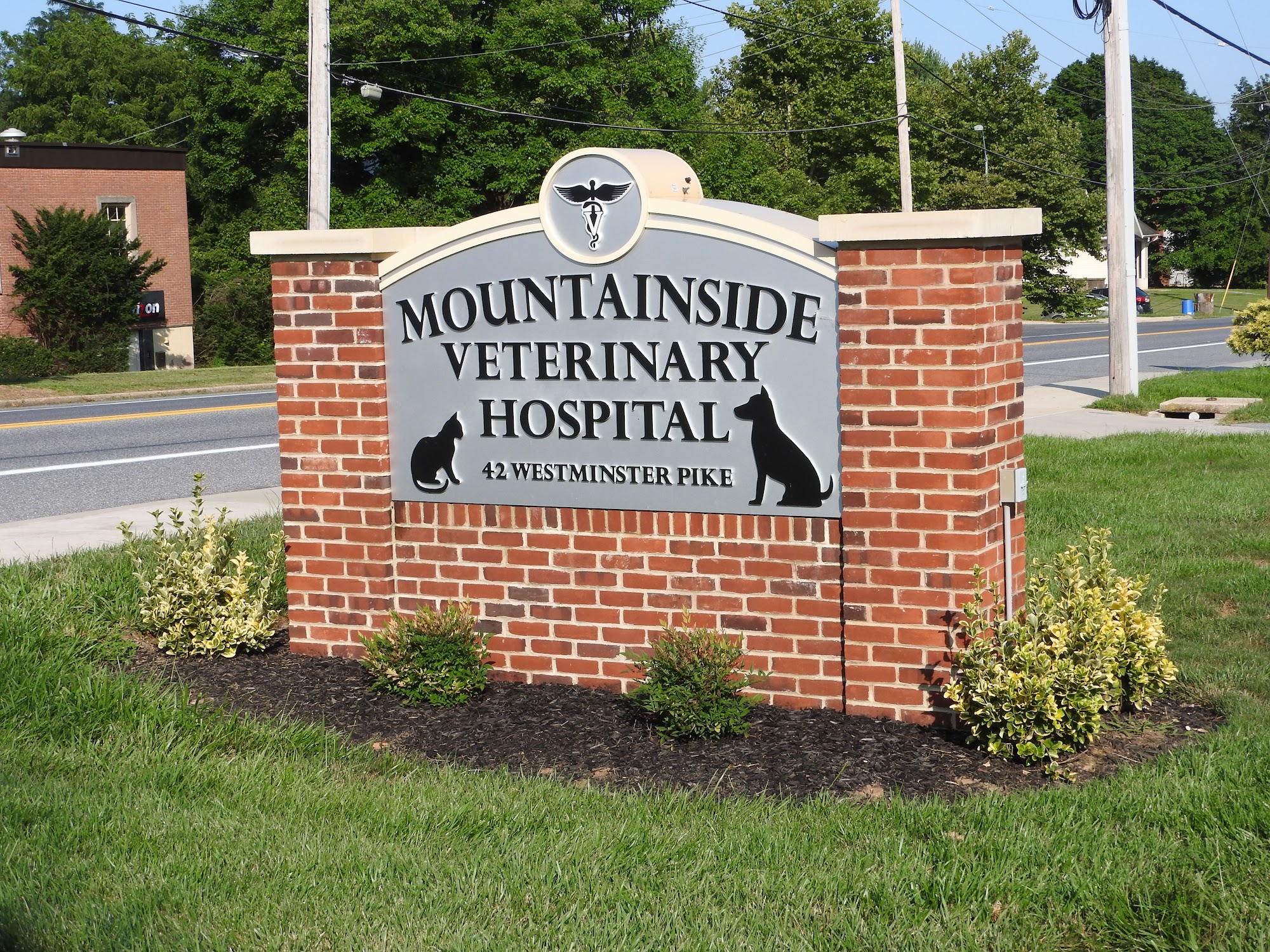 Mountainside Veterinary Hospital