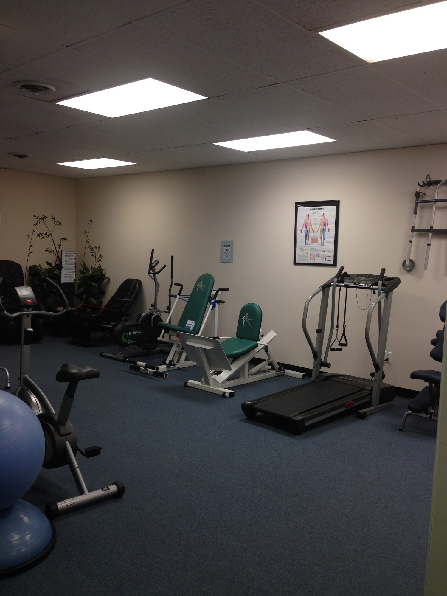 Physical Therapy & Wellness Center