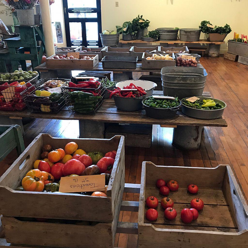 Photo credit: happycow