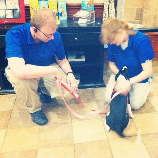 Photo credit: nextdoor