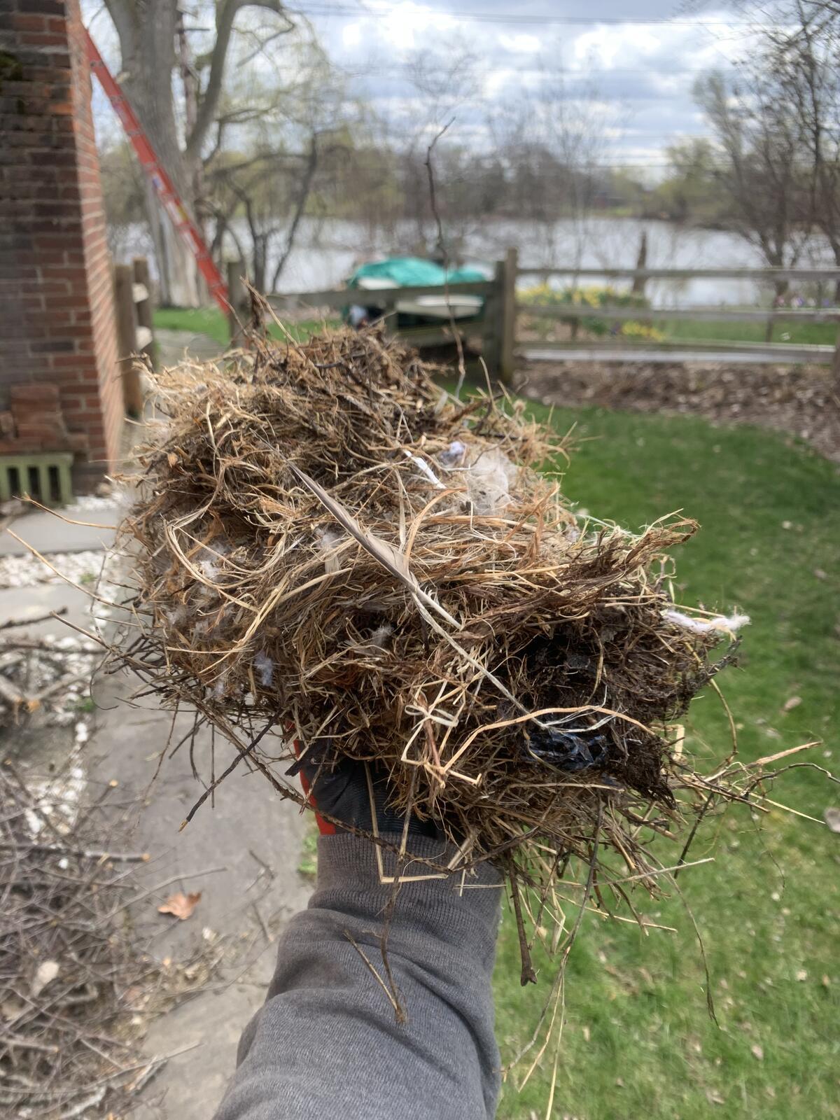 Photo credit: nextdoor