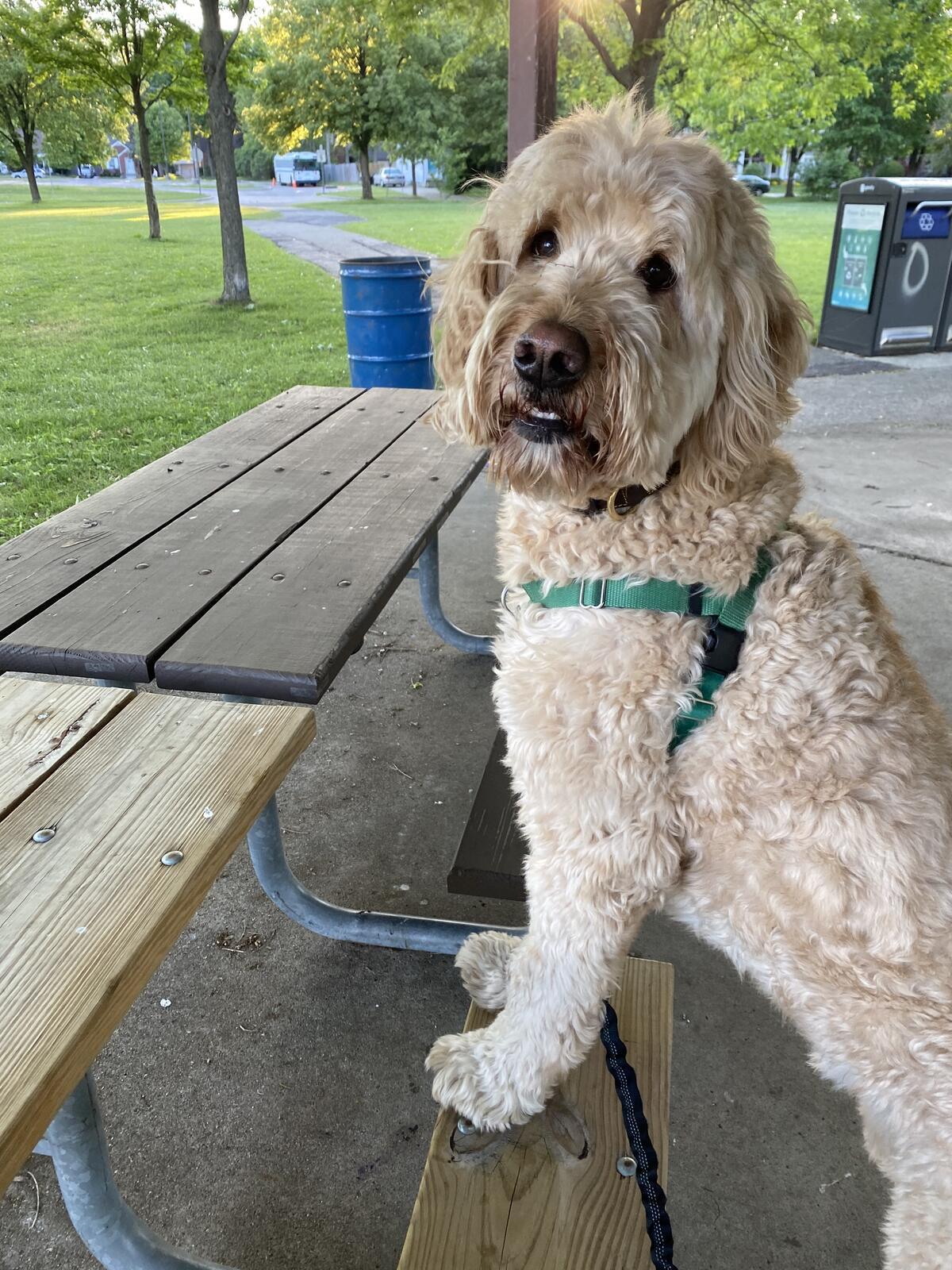 Photo credit: nextdoor